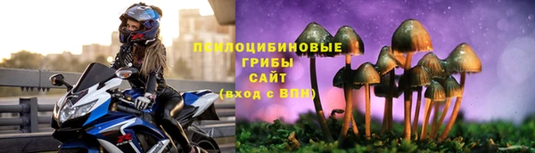 соль ск Карпинск