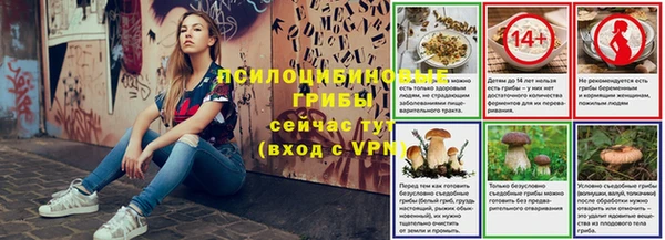 мдпв Касимов