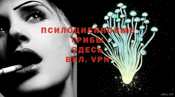 apvp Карталы